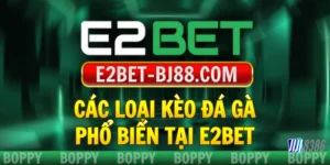 cac-loai-keo-da-ga-pho-bien-tai-e2bet