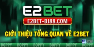 gioi-thieu-tong-quan-ve-nha-cai-e2bet
